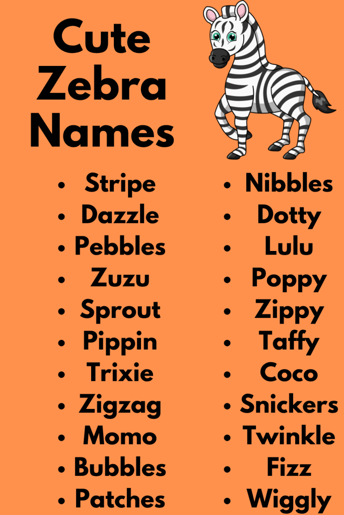 239 Cute Zebra Names