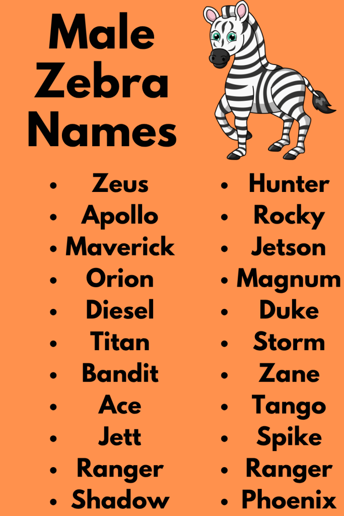 239 Male Zebra Names