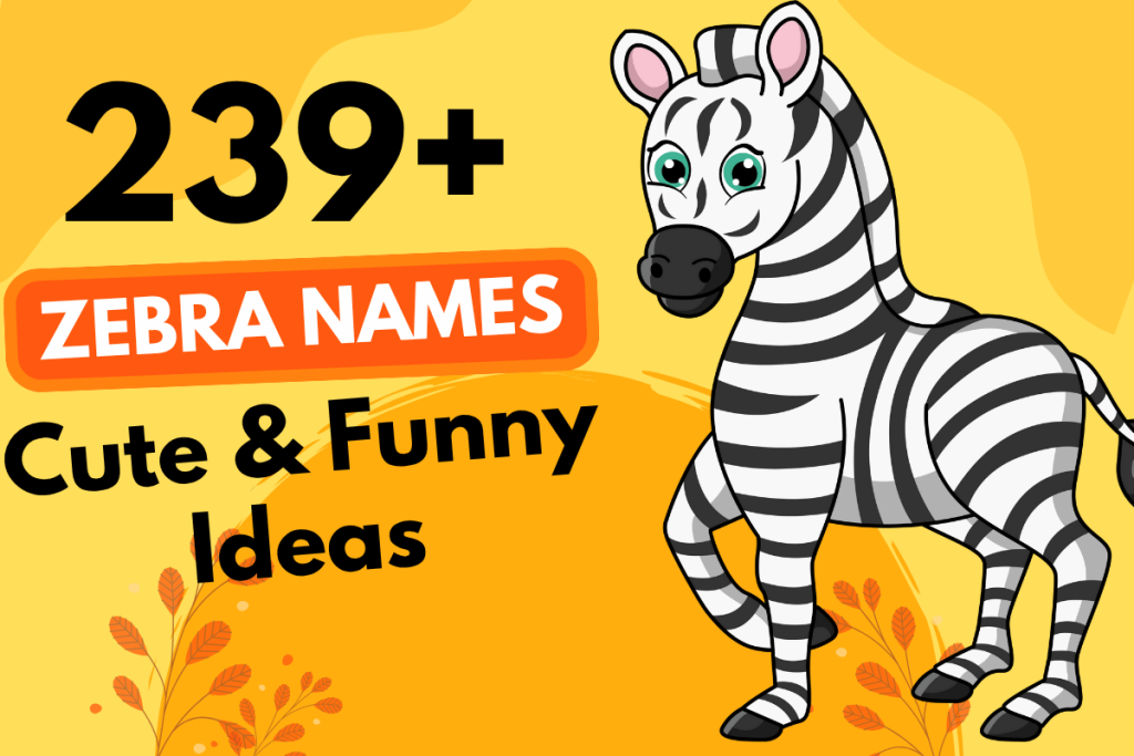 239 Zebra Names