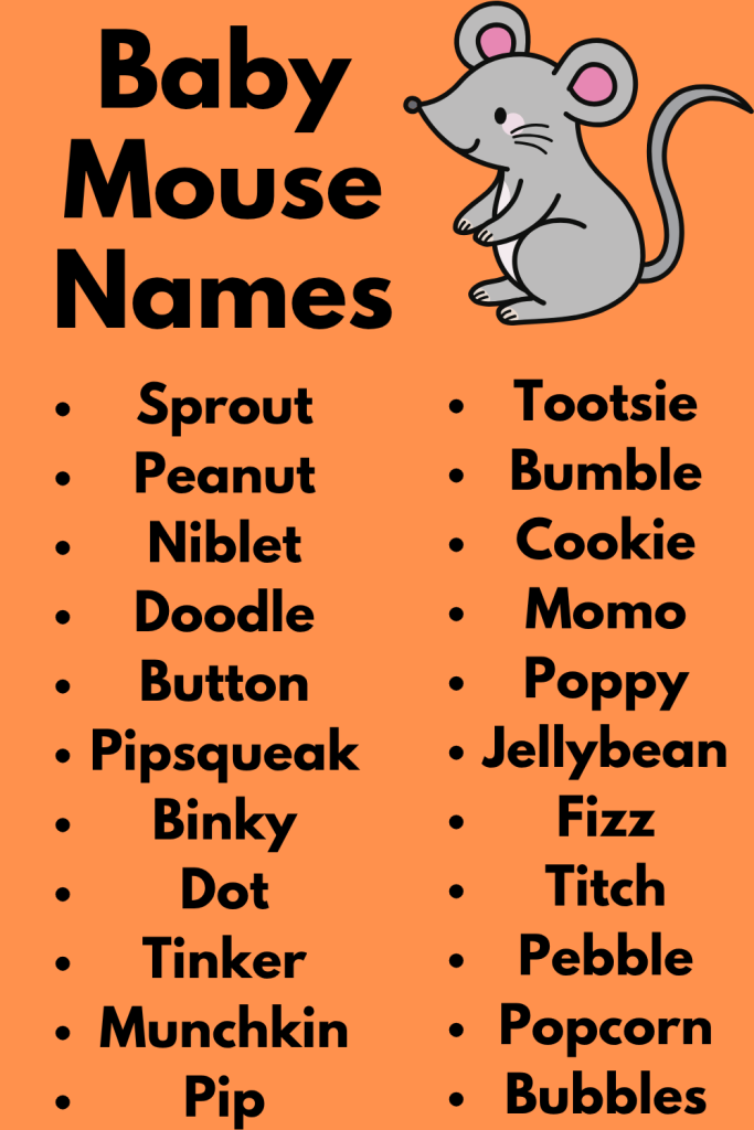 240 Baby Mouse Names