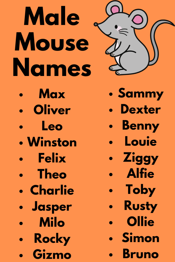 240 Male Mouse Names