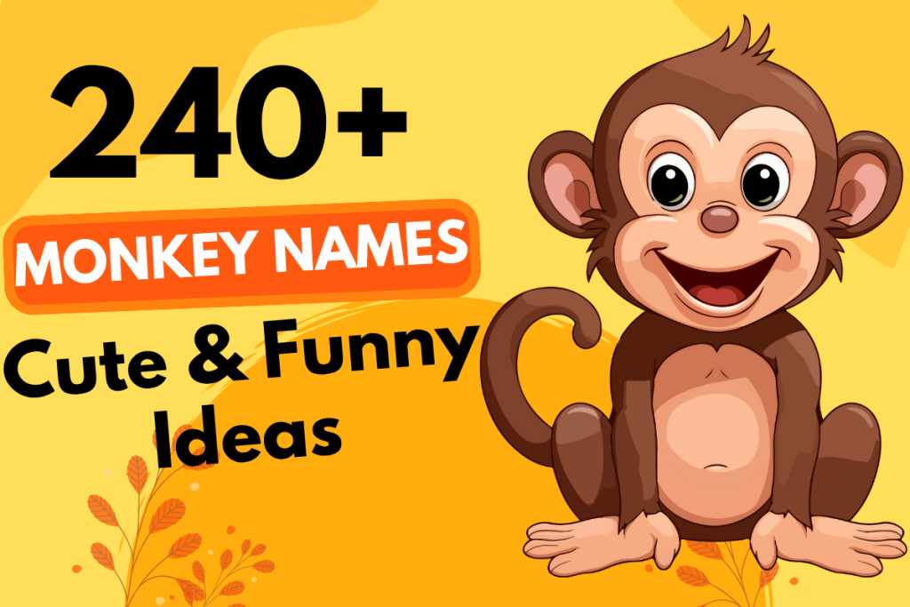 240 Monkey Names