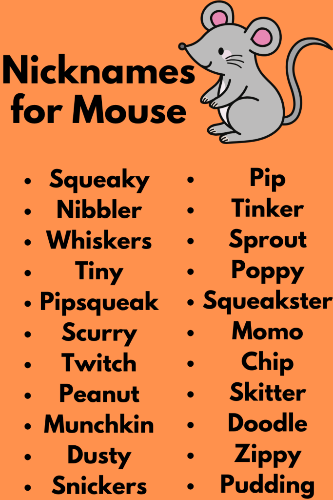 240 Nicknames For Mouse