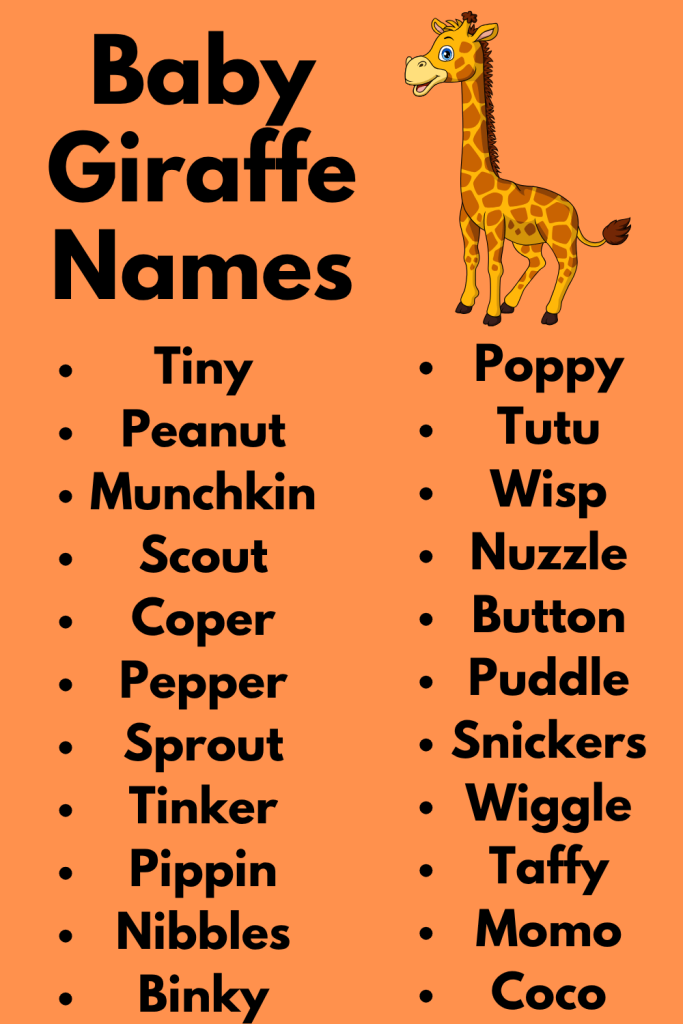 270 Baby Giraffe Names