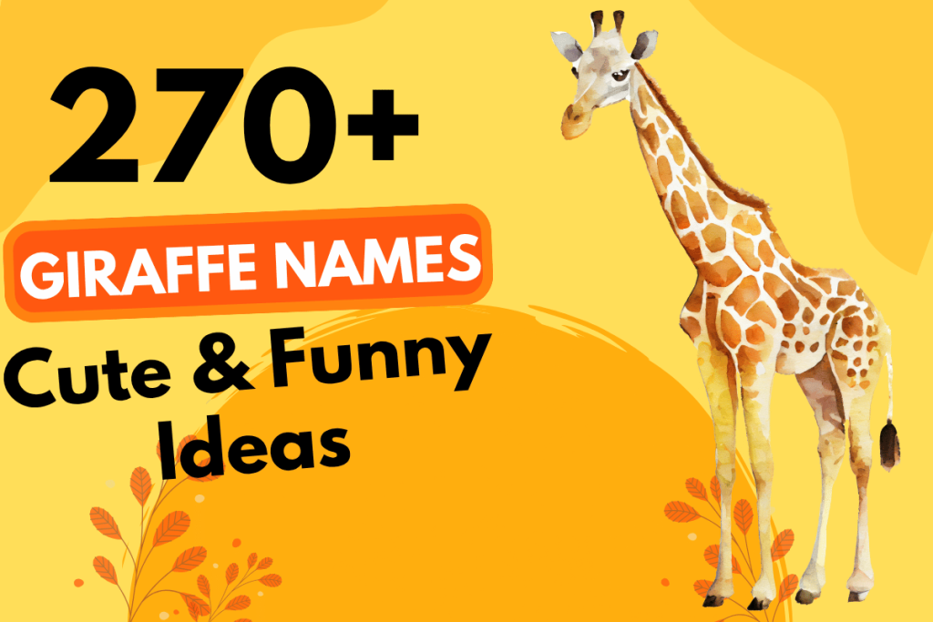 270 Giraffe Names