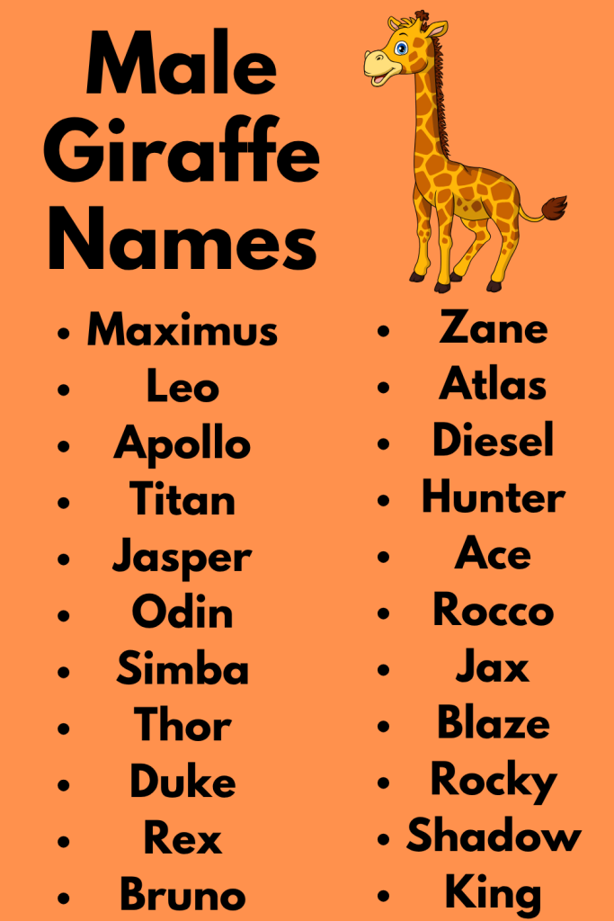 270 Male Giraffe Names