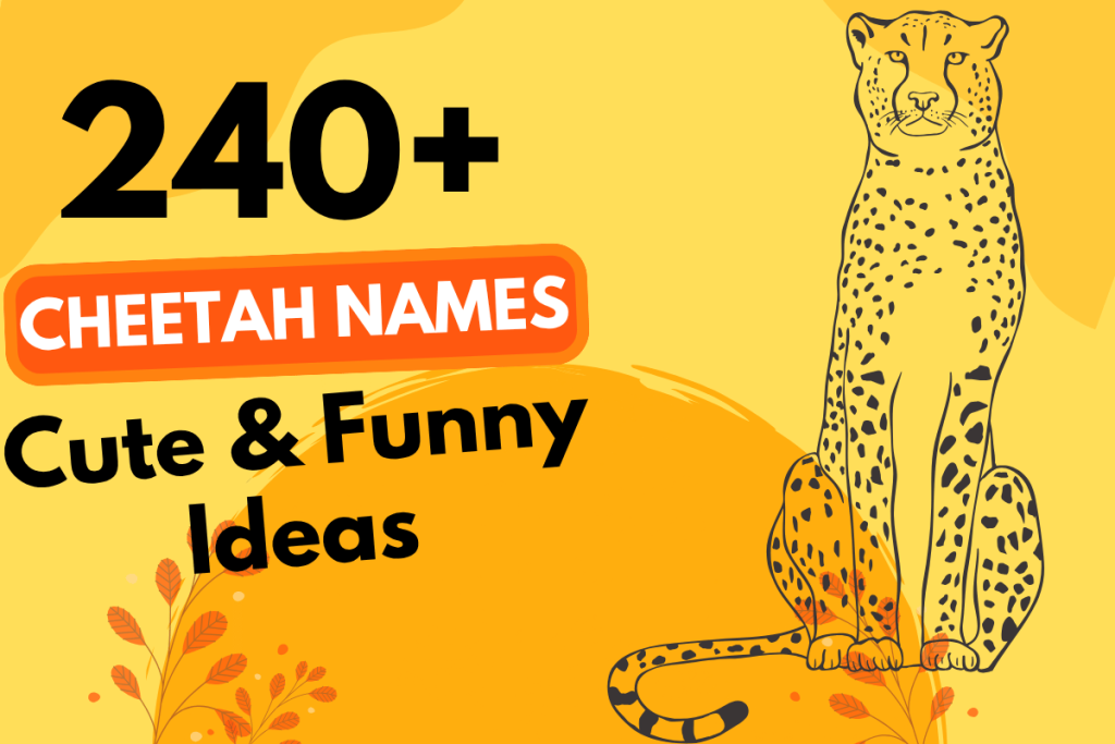 240 Cheetah Names