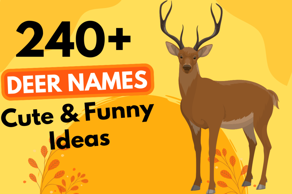 240 Deer Names