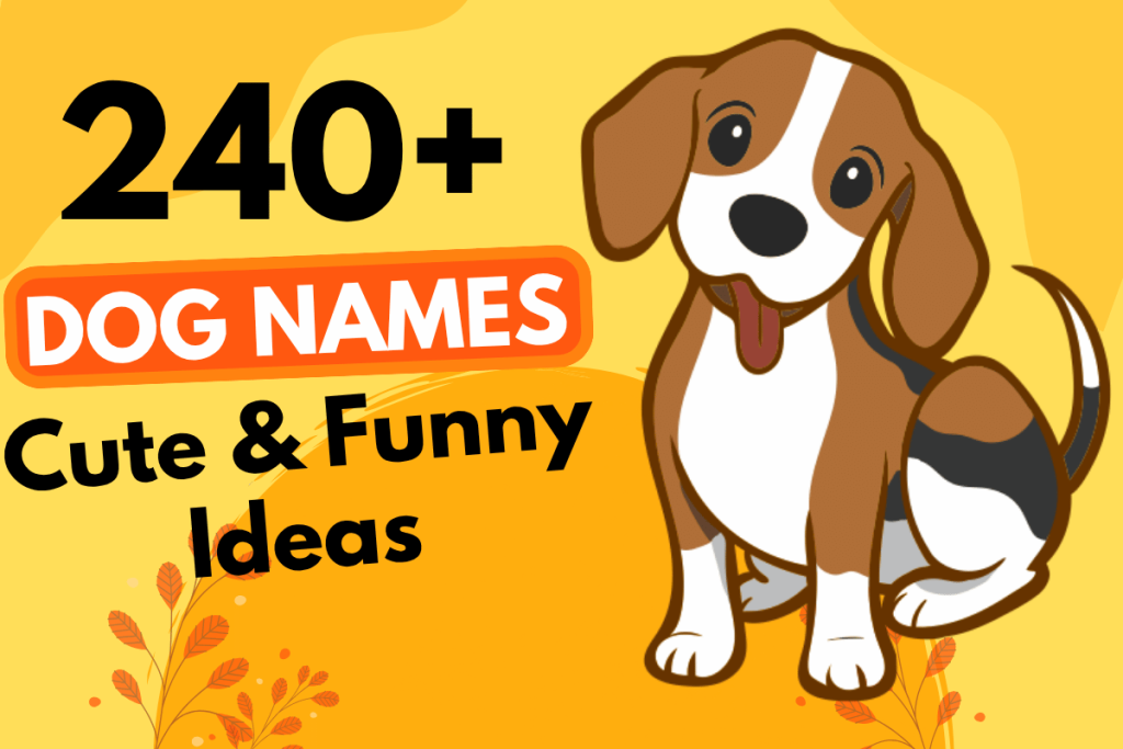 240 Dog Names