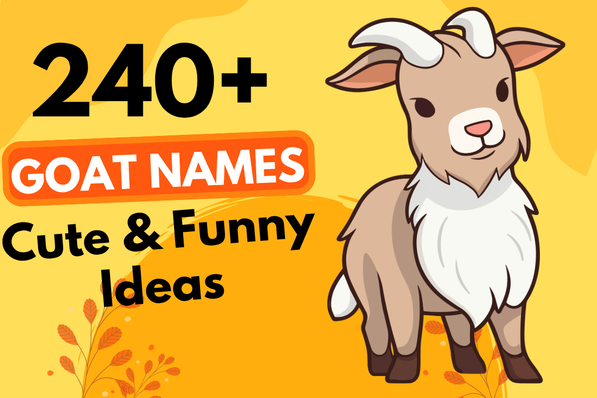 240 Gaot Names