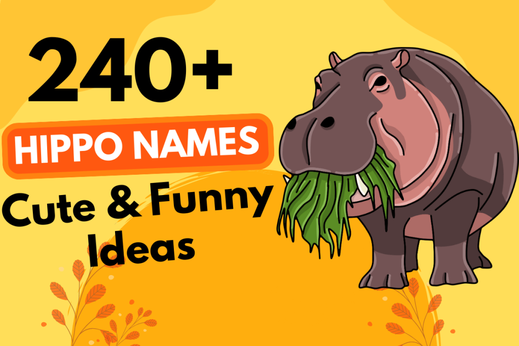 240 Hippopotamus Names