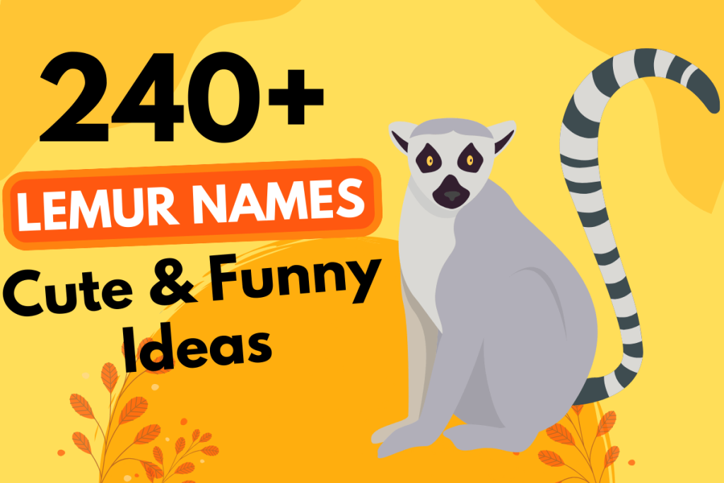 240 Lemur Names