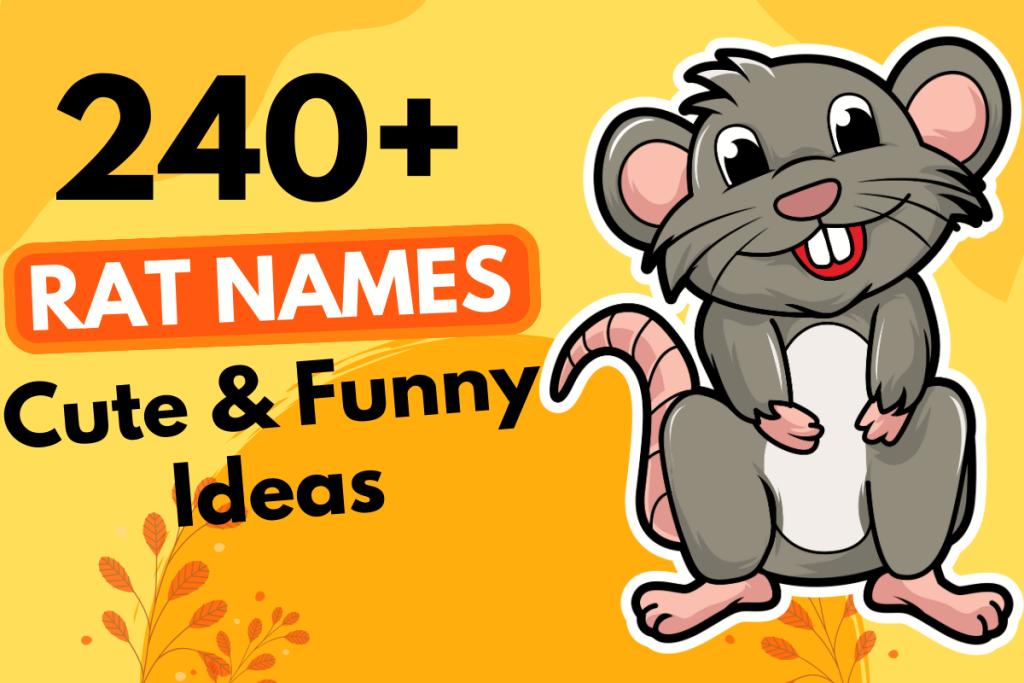 240 Rat Names