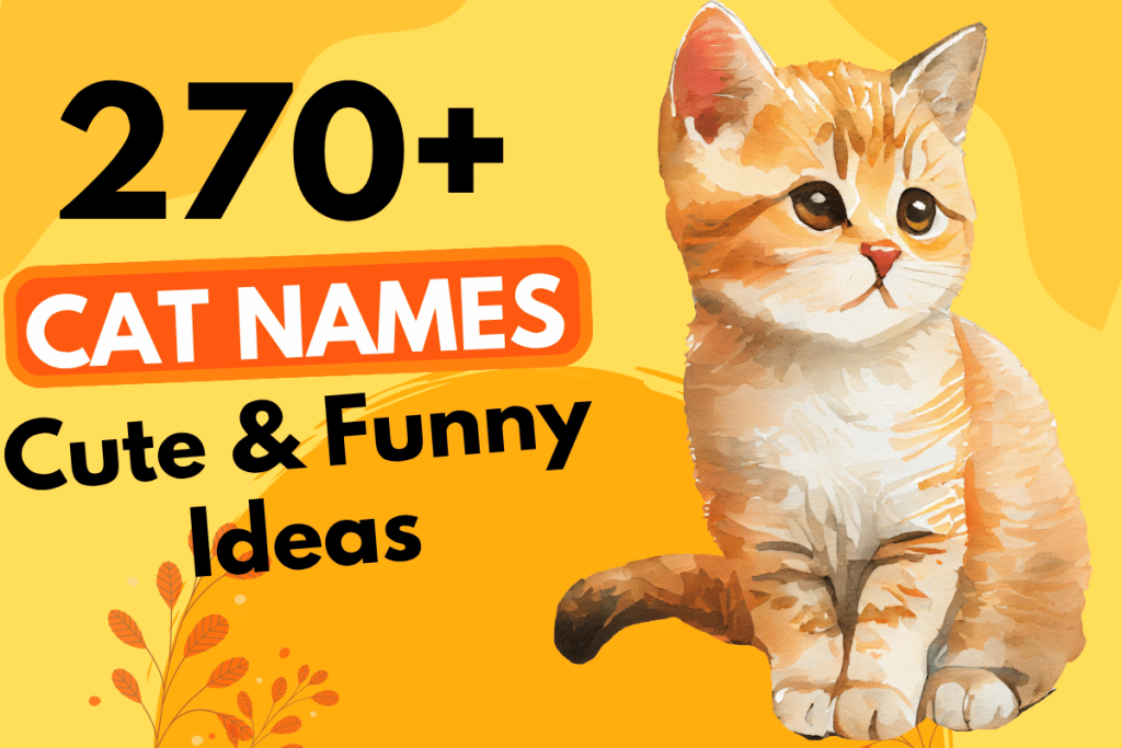 270 Cat Names