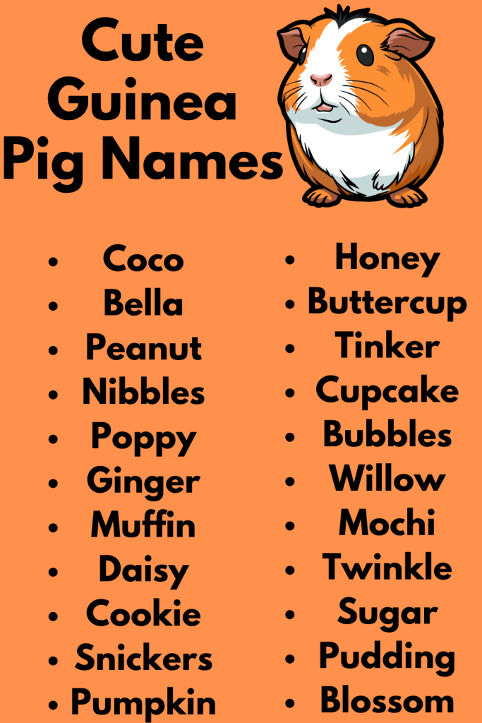 Cute Guinea Pig Names