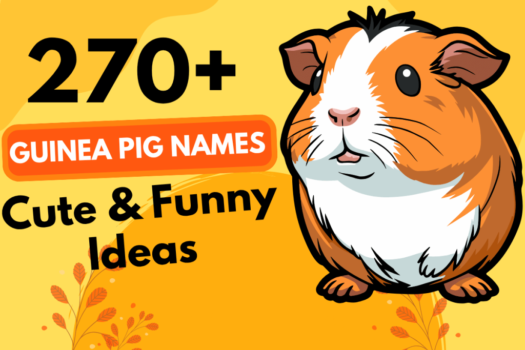 270 Guinea Pig Names