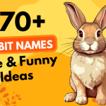 270 Rabbit Names