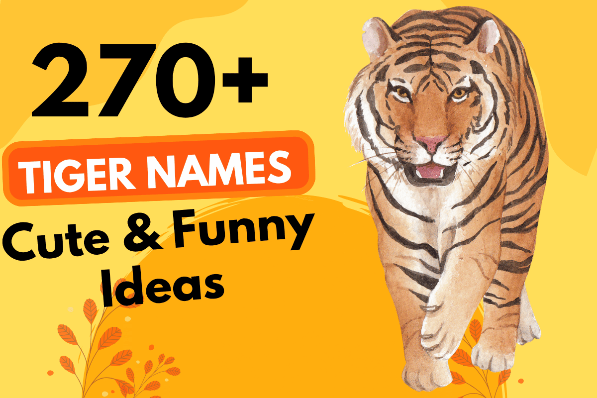 270 Tiger Names