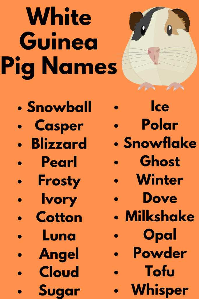 White Guinea Pig Names