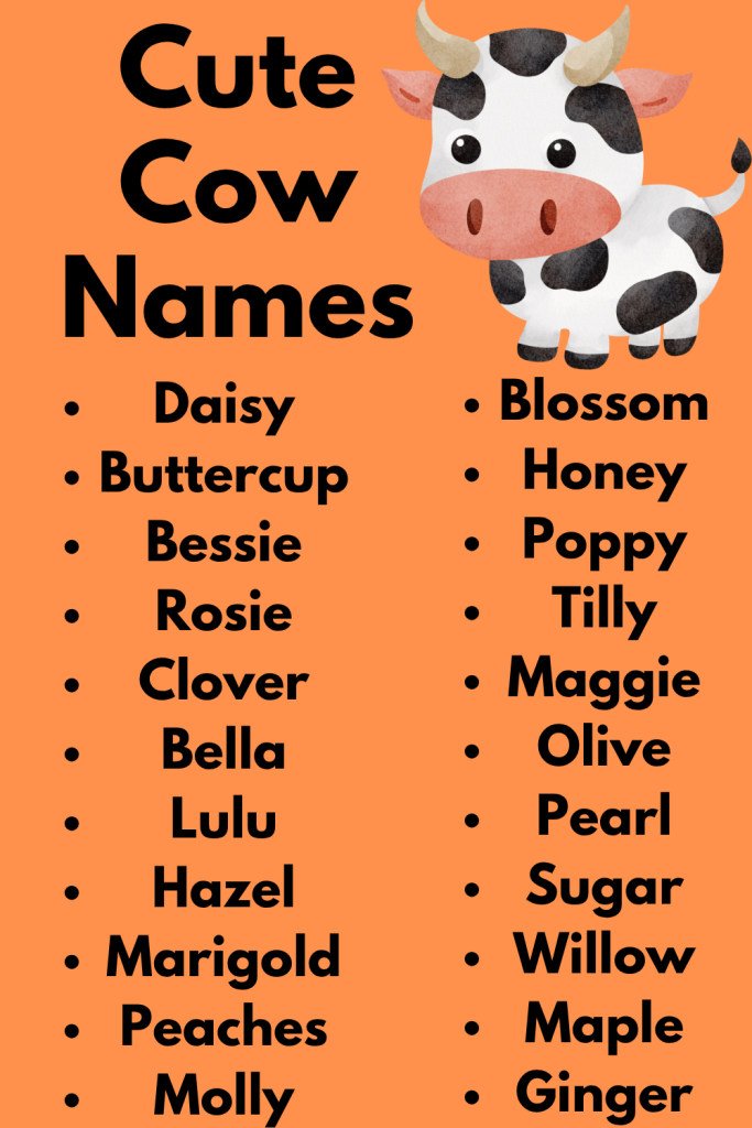 Cute Cow Names
