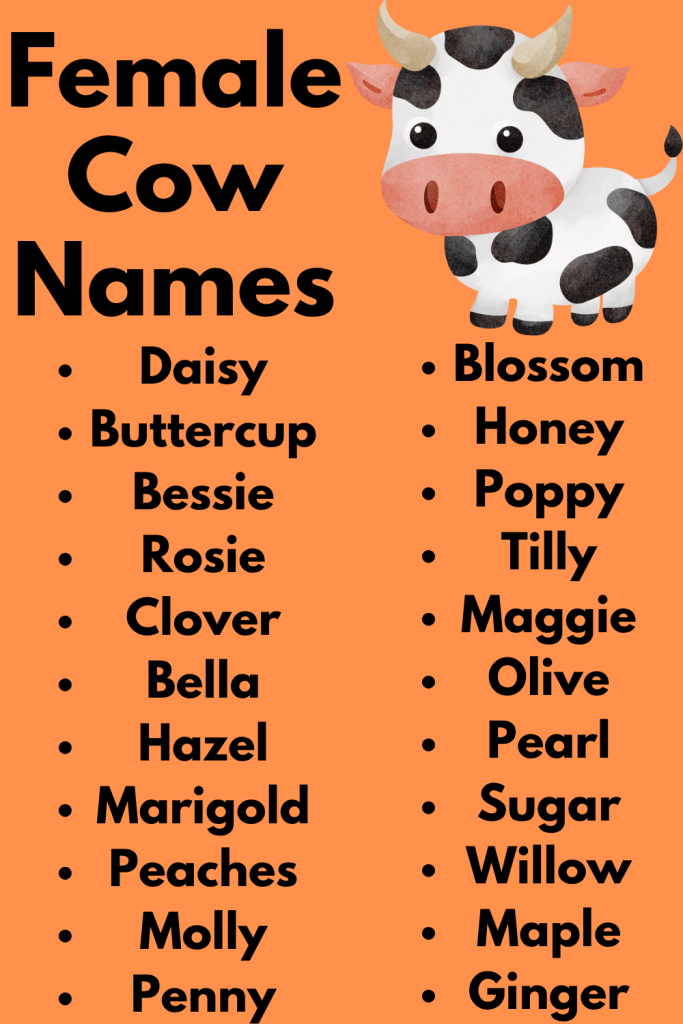Female Cow Names