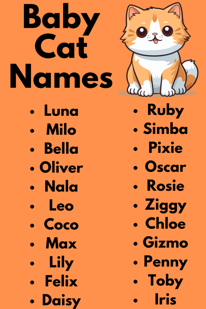 Baby Cat Names