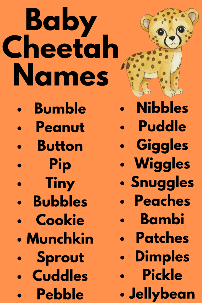 Baby Cheetah Names