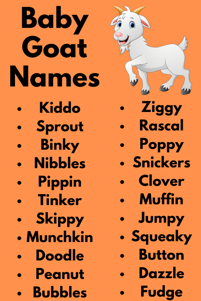 Baby Goat Names