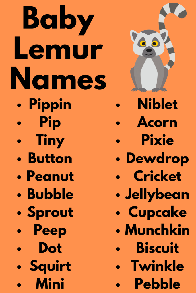 Baby Lemur Names