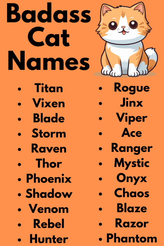 Badass Cat Names