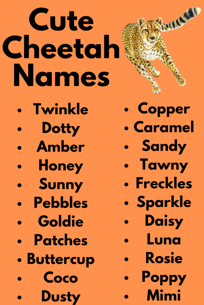 Cute Cheetah Names