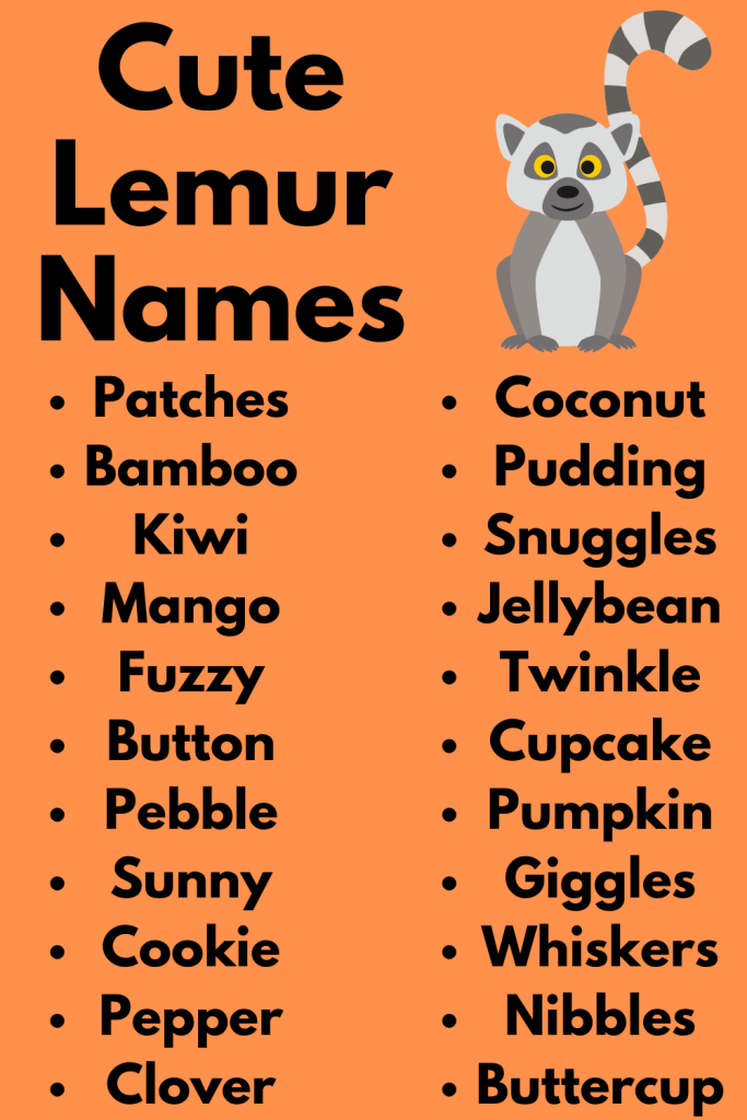 Cute Lemur Names