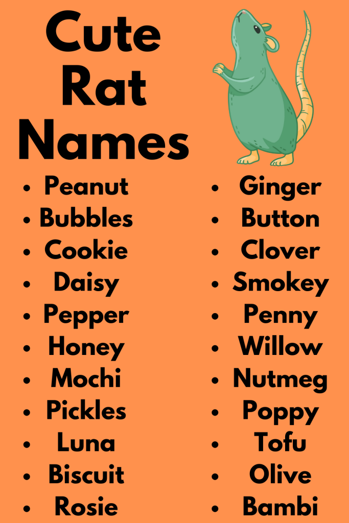 Cute Rat Names