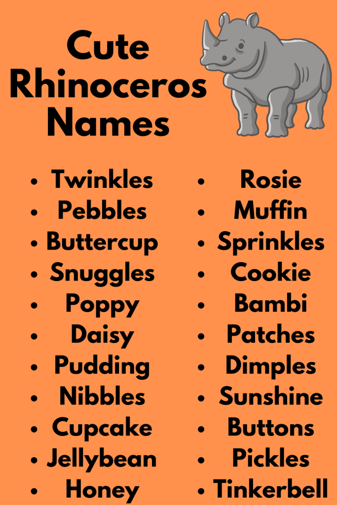 Cute Rhinoceros Names