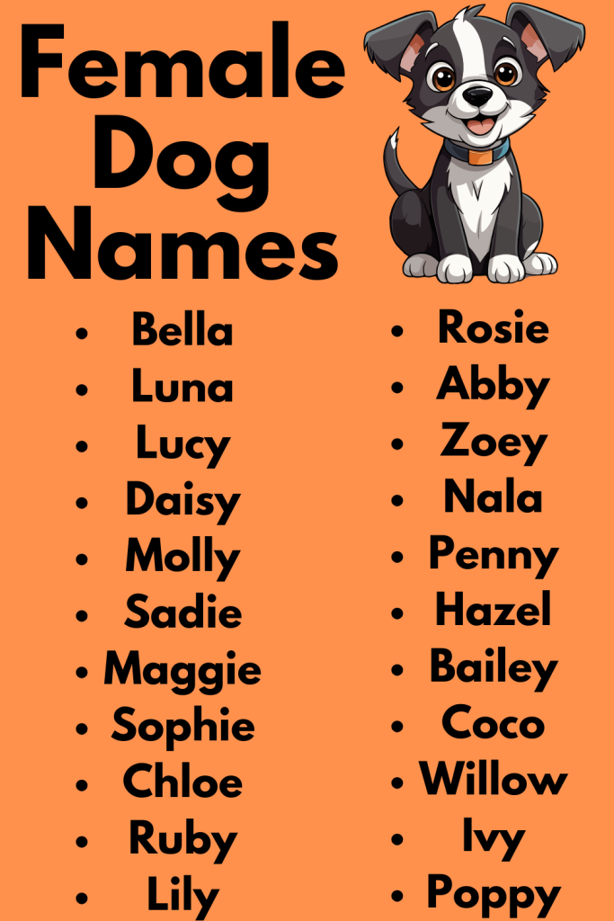 Female Dog Names 