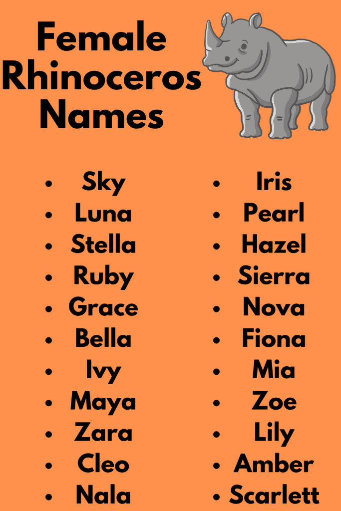 Female Rhinoceros Names