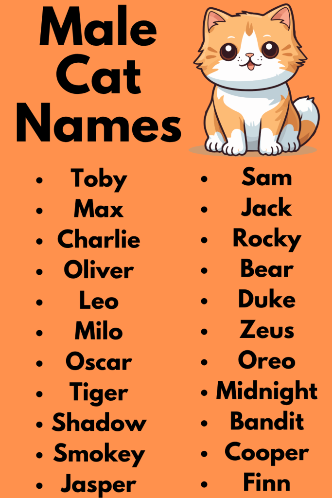 Male Cat Names