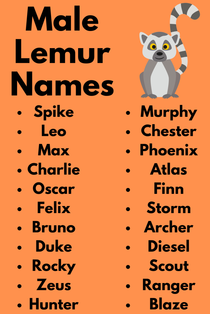Male Lemur Names