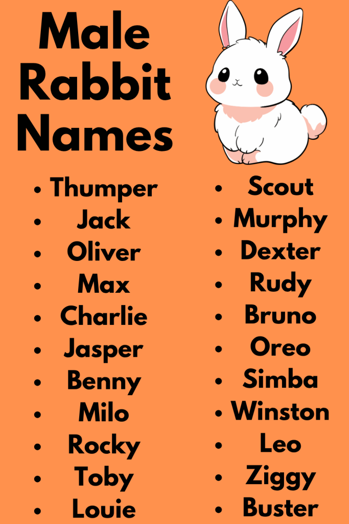 Male Rabbit Names