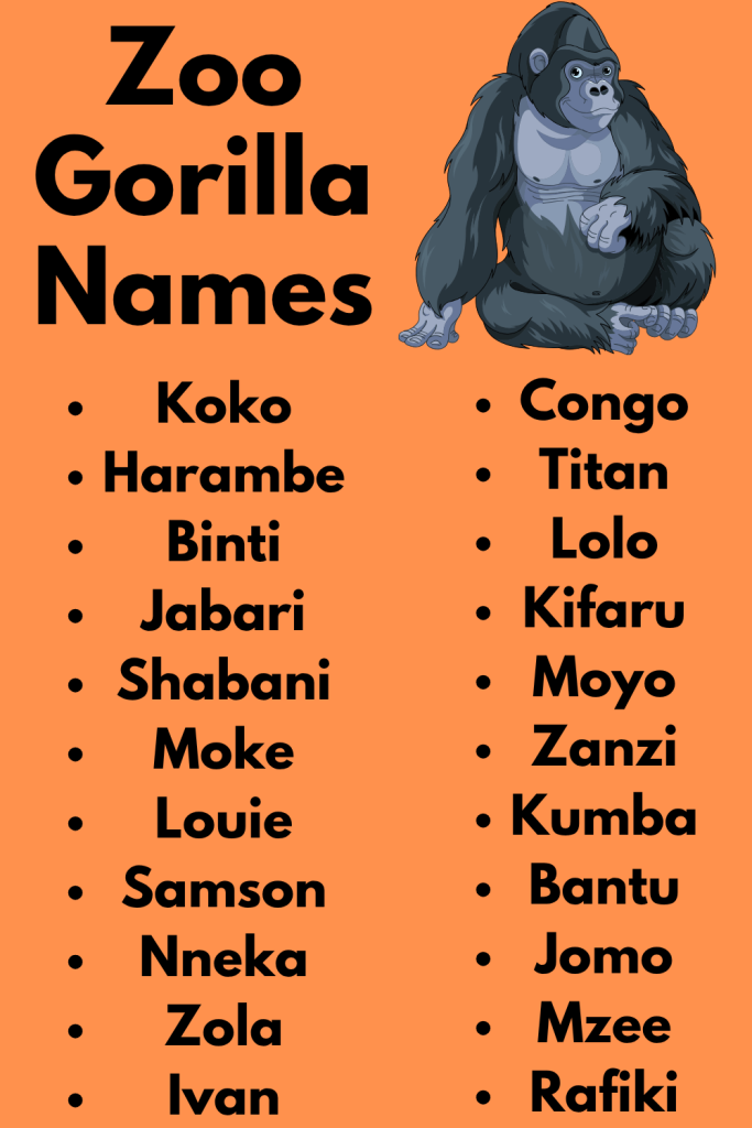 Zoo Gorilla Names