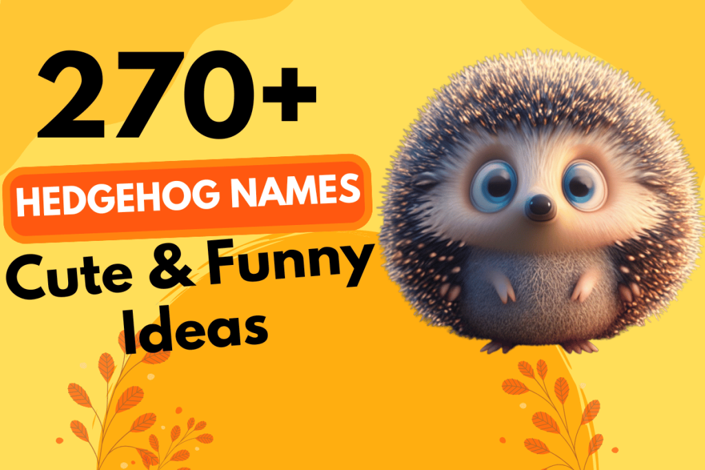 270 Hedgehog Names