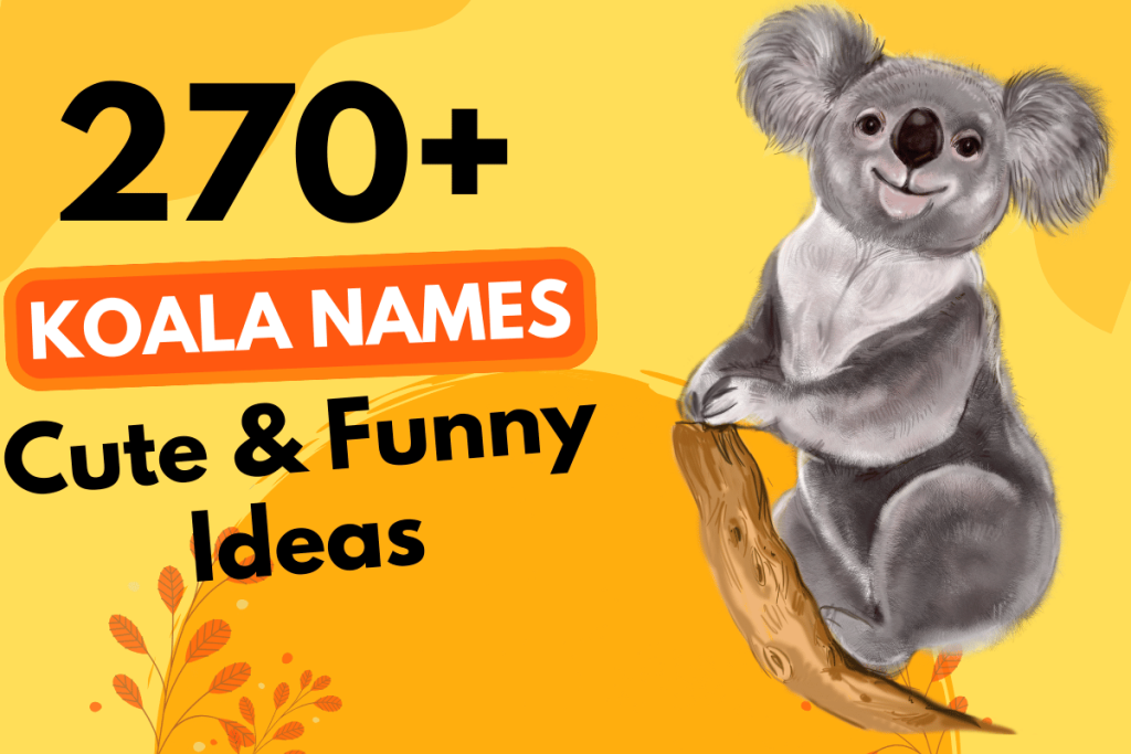270 Koala Names