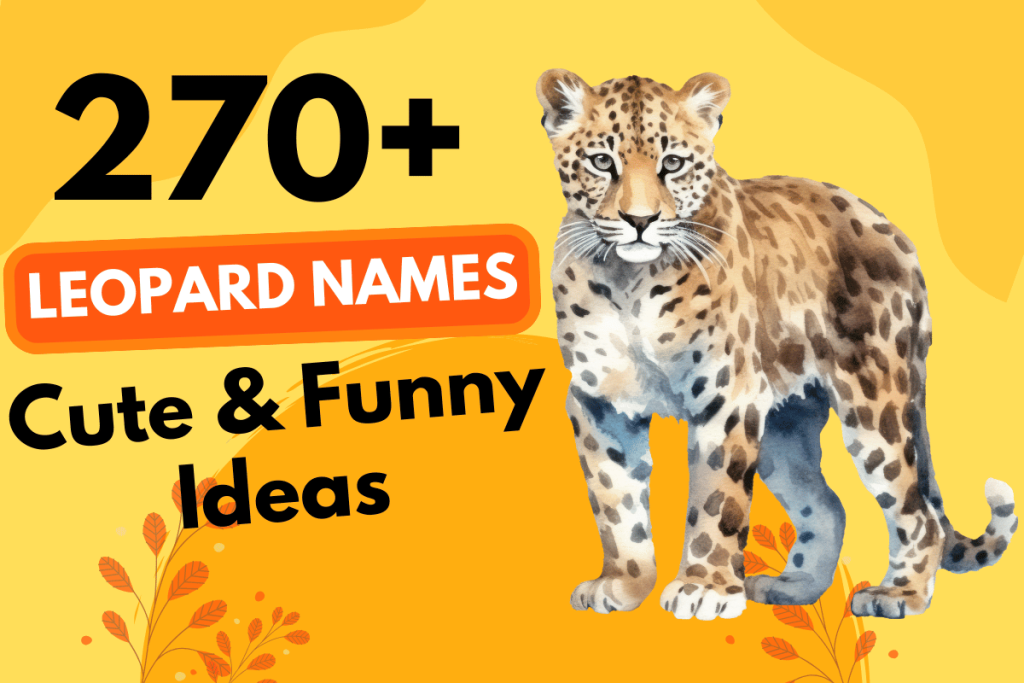 270 Leopard Names