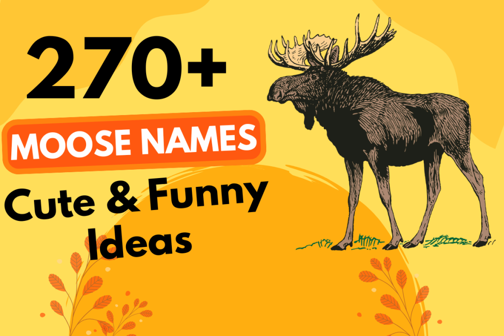 270 Moose Names 1