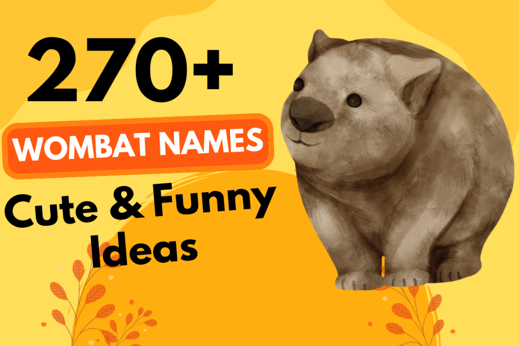 270 Wombat Names 1