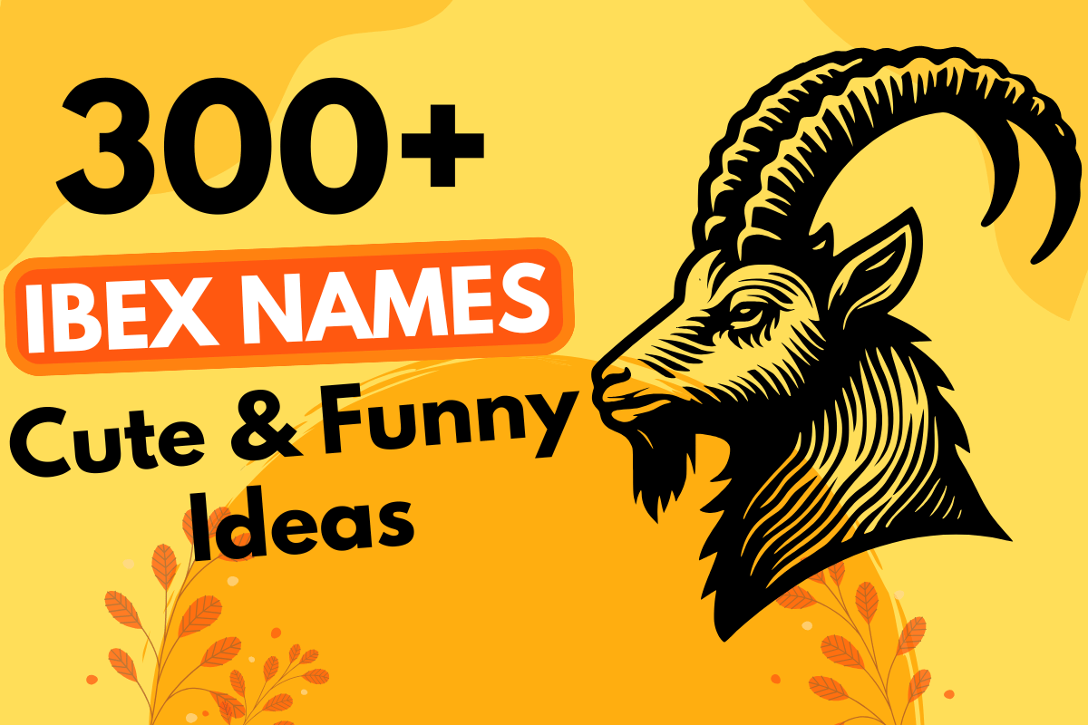 300 Ibex Names