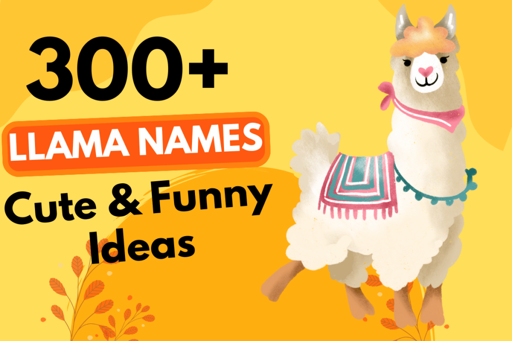 300 Llama Names 4