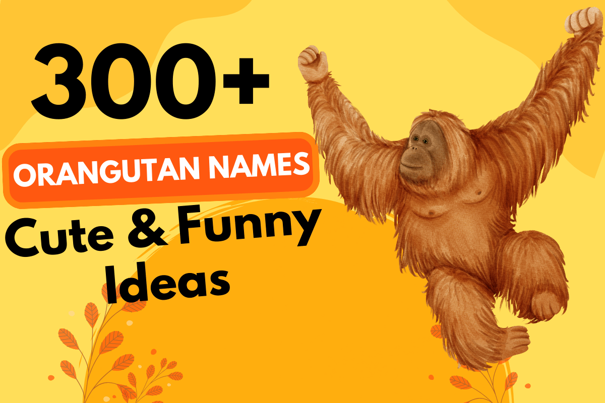 300 Orangutan Names 4 1