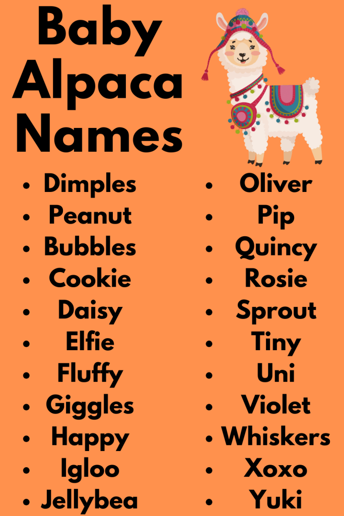Baby Alpaca Names