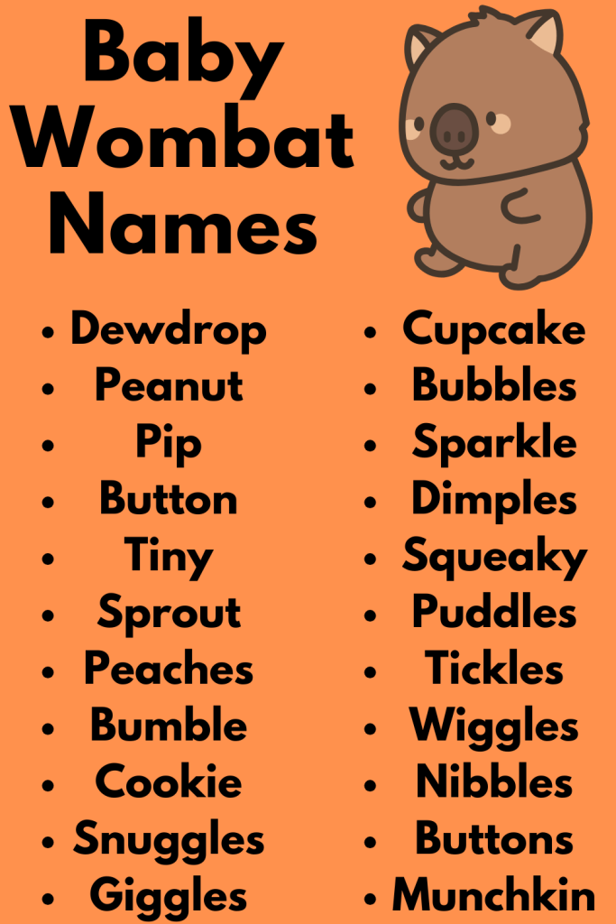 Baby Wombat Names
